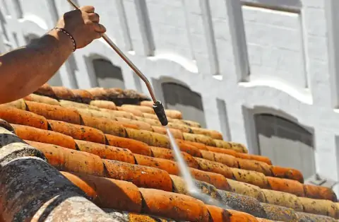 Nettoyage de toitures - Bellegarde